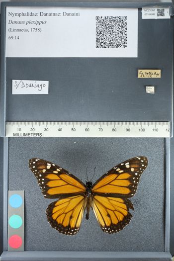 Media type: image;   Entomology 164992